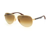 kính rayban aviator carbon fibre RB8313 001/51